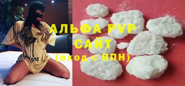 прущие грибы Майский