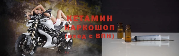 прущие грибы Майский