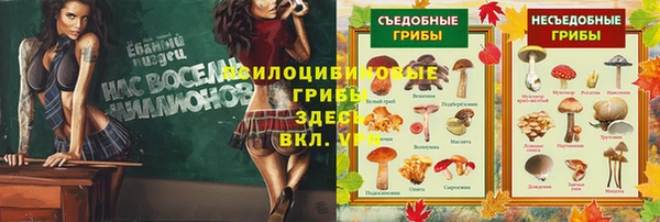 мет Магас