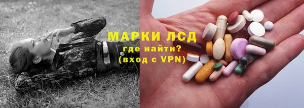 прущие грибы Майский