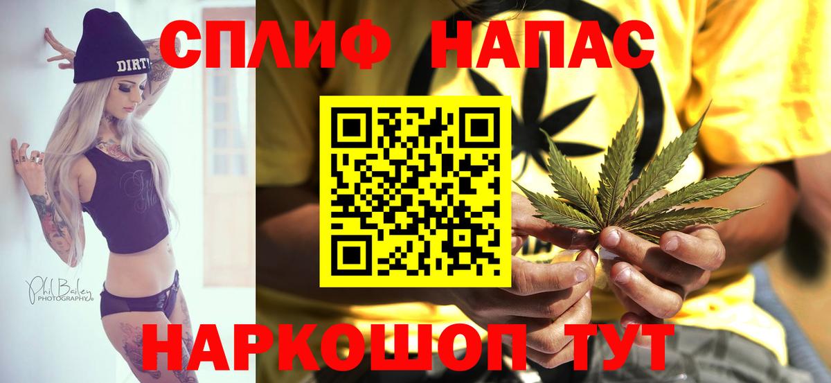 Бошки марихуана тримм  Вход с VPN  Марихуана THC 21%  Конопля план  Нефтекумск 